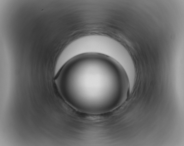 X0000115530417200911131509