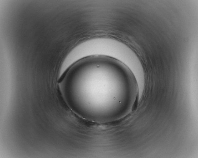 X0000115530419200911131509