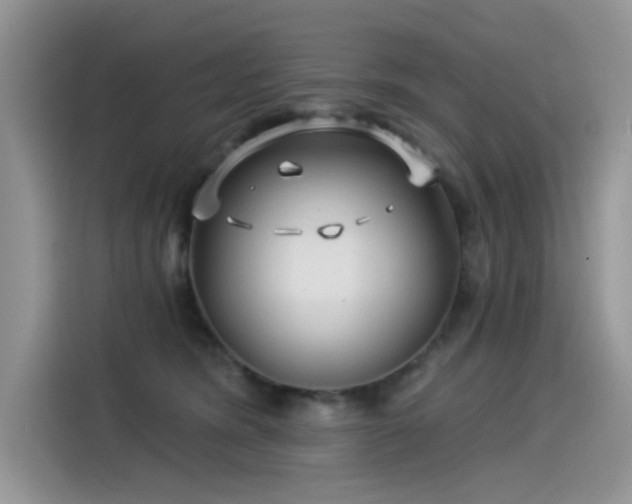 X0000115530420200911131509