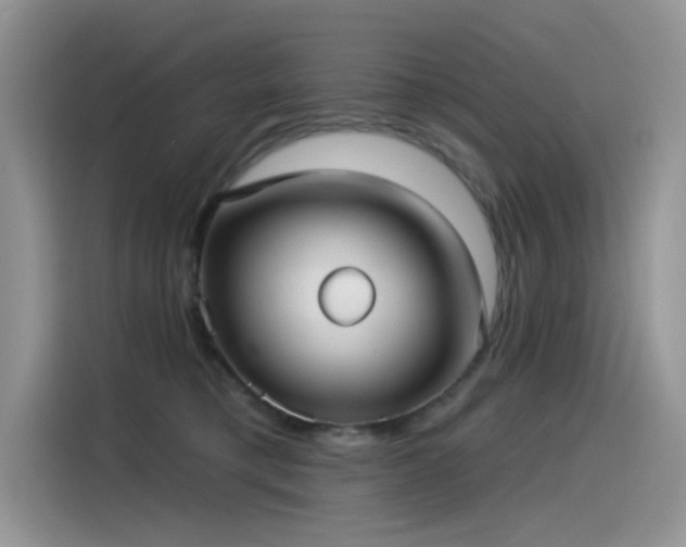 X0000115530421200911131509