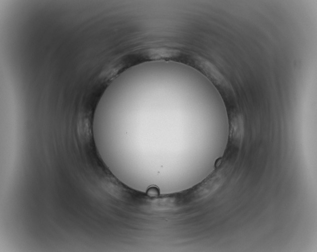 X0000115530426200911131509