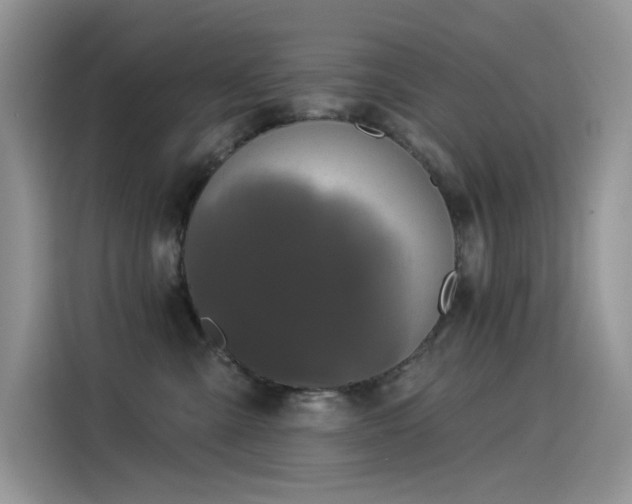 X0000115530427200911131509