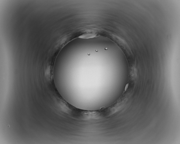 X0000115530428200911131509