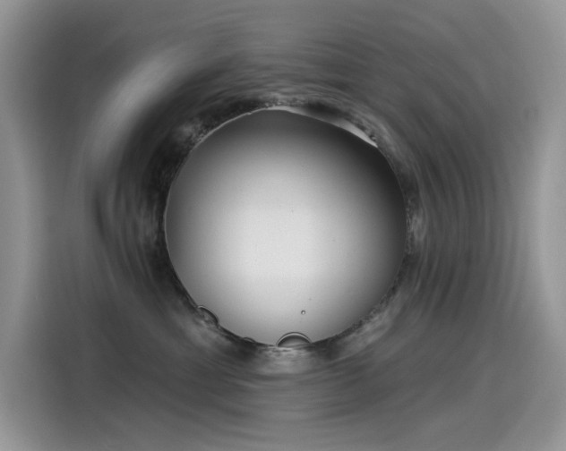 X0000115530429200911131509