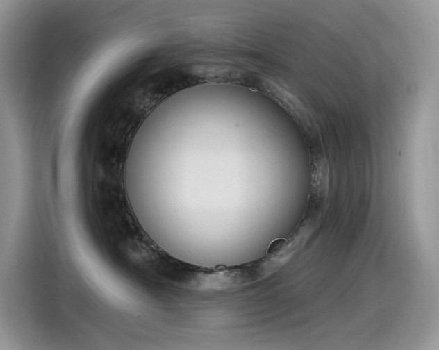 X0000115530430200911131509