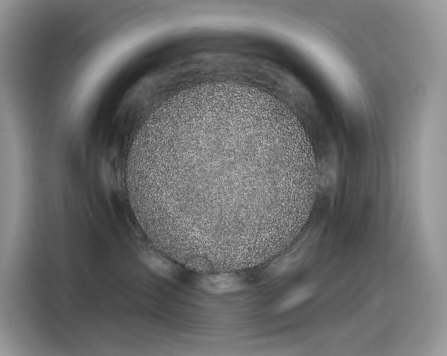 X0000115530431200911131509