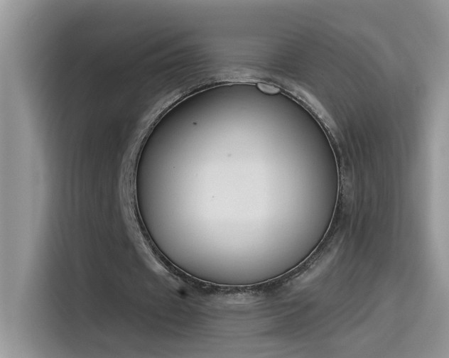 X0000115530433200911131508