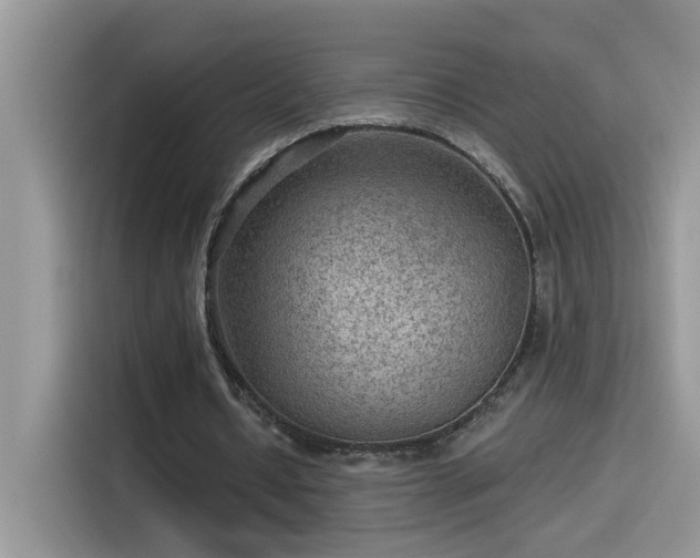 X0000115530434200911131508