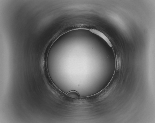 X0000115530435200911131508