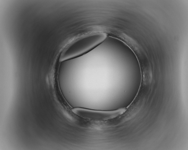 X0000115530436200911131508