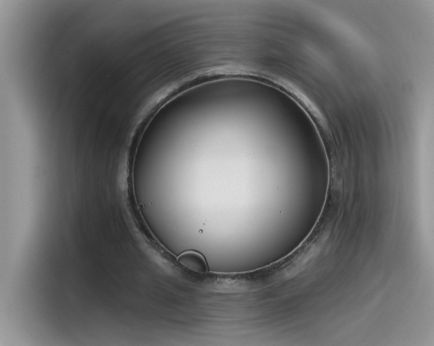 X0000115530437200911131508