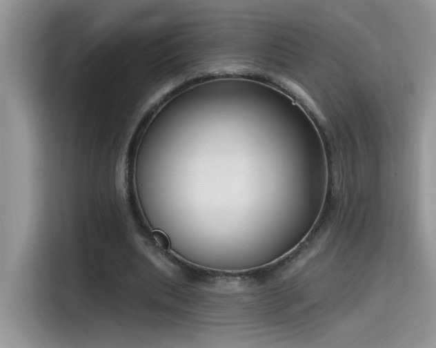 X0000115530439200911131508