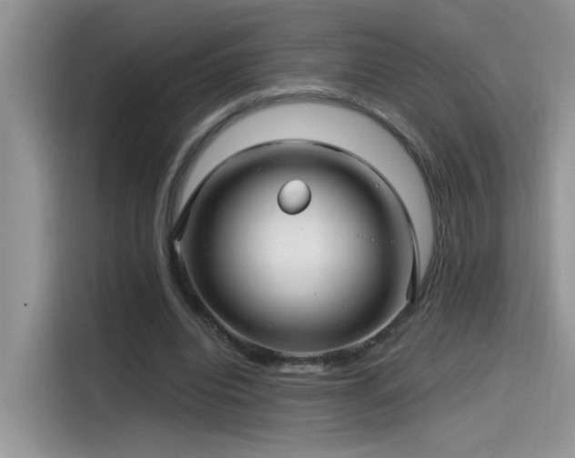 X0000115530440200911131508