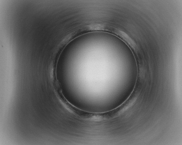 X0000115530441200911131508