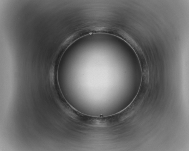 X0000115530442200911131508