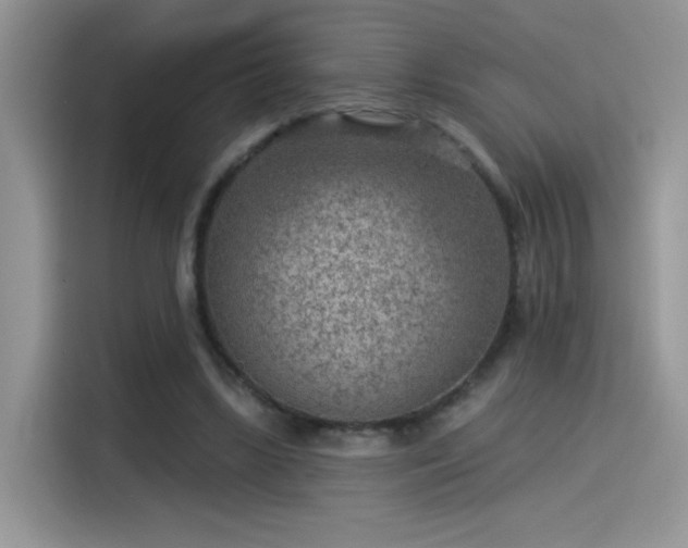 X0000115530443200911131508