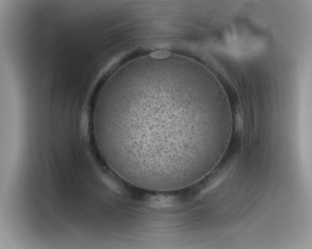 X0000115530444200911131508