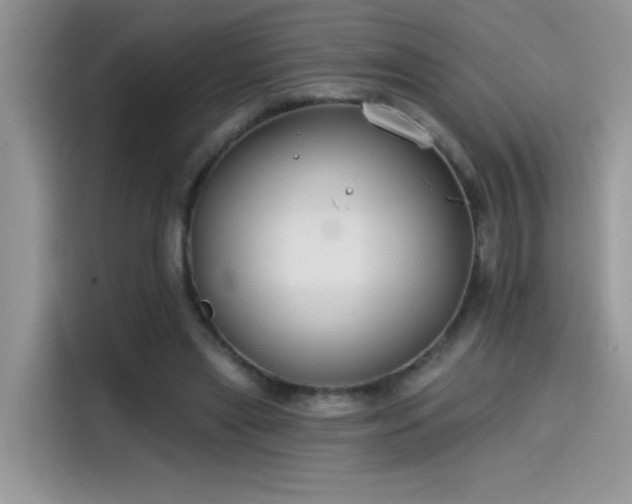 X0000115530445200911131508