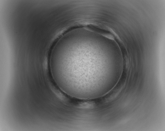 X0000115530447200911131508