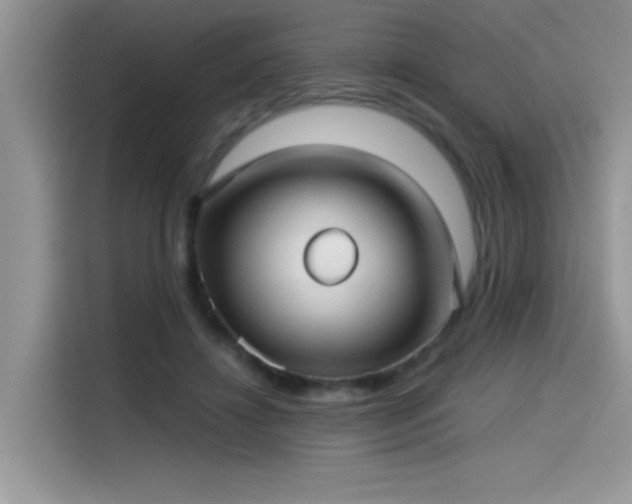 X0000115530452200911131509