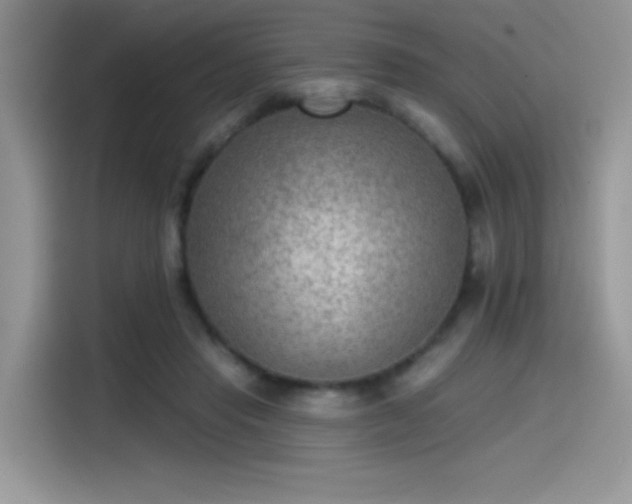 X0000115530453200911131509