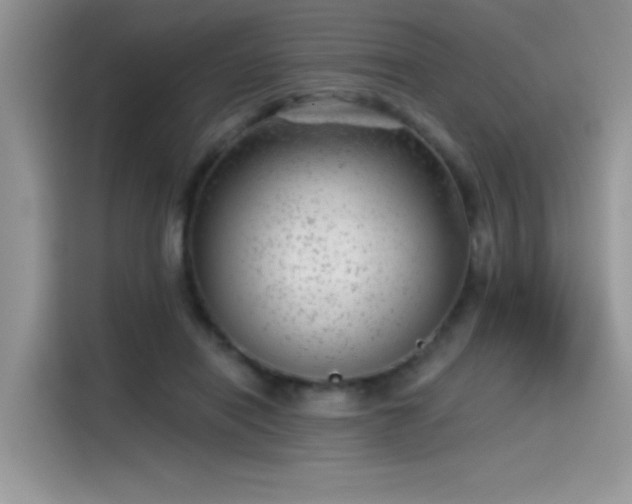 X0000115530454200911131509