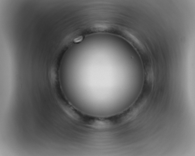 X0000115530455200911131509