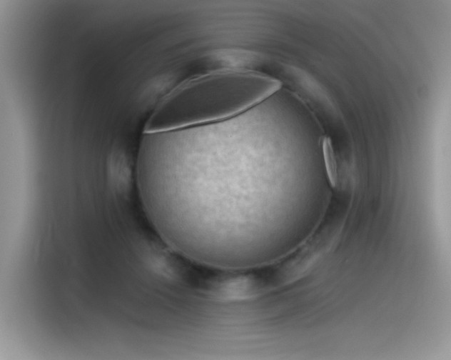 X0000115530456200911131509