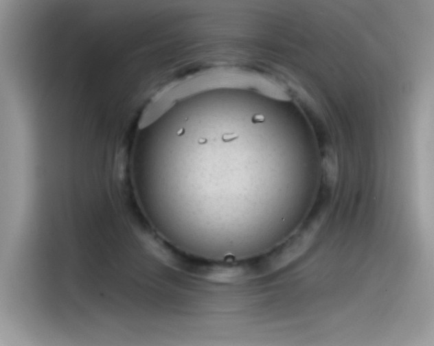 X0000115530458200911131509