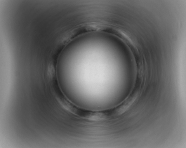 X0000115530459200911131509