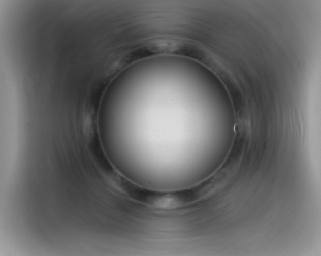 X0000115530460200911131509