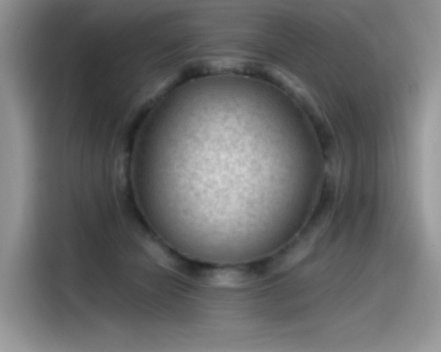 X0000115530462200911131509