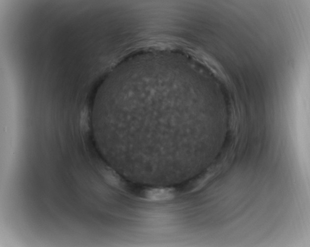 X0000115530465200911131509