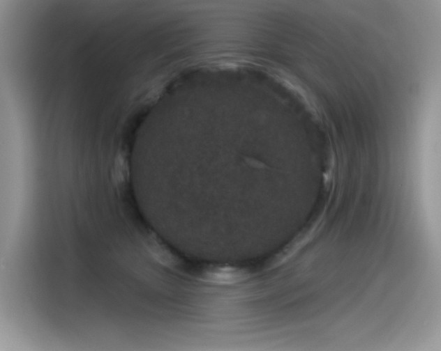 X0000115530467200911131509