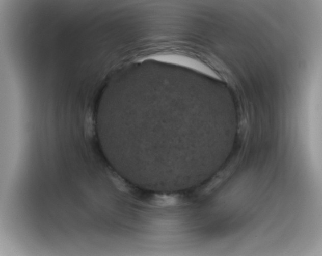 X0000115530469200911131509