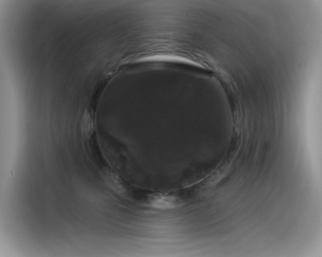 X0000115530471200911131509