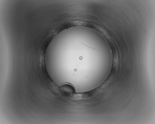 X0000115530473200911131509