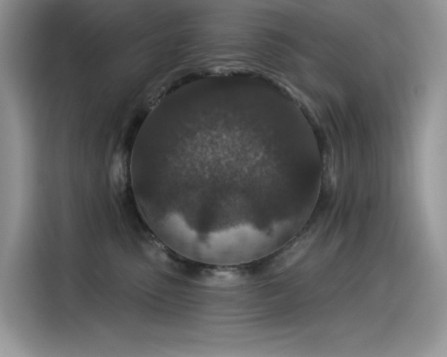 X0000115530475200911131509