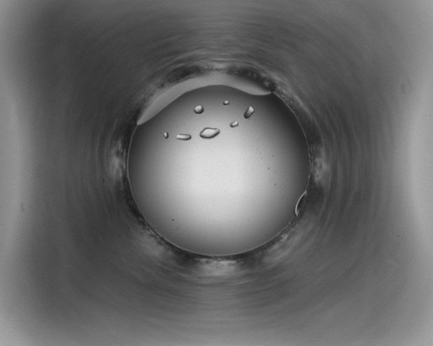 X0000115530476200911131509