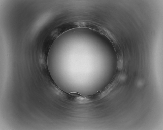 X0000115530477200911131509