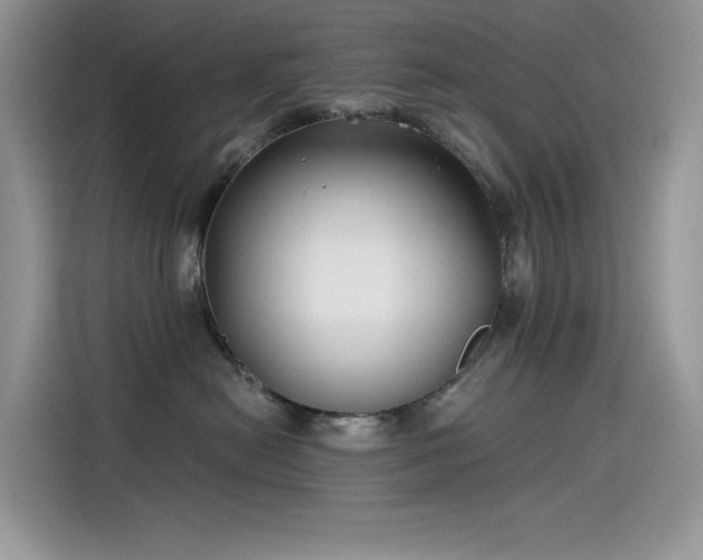 X0000115530478200911131509