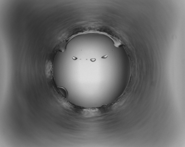 X0000115530480200911131509