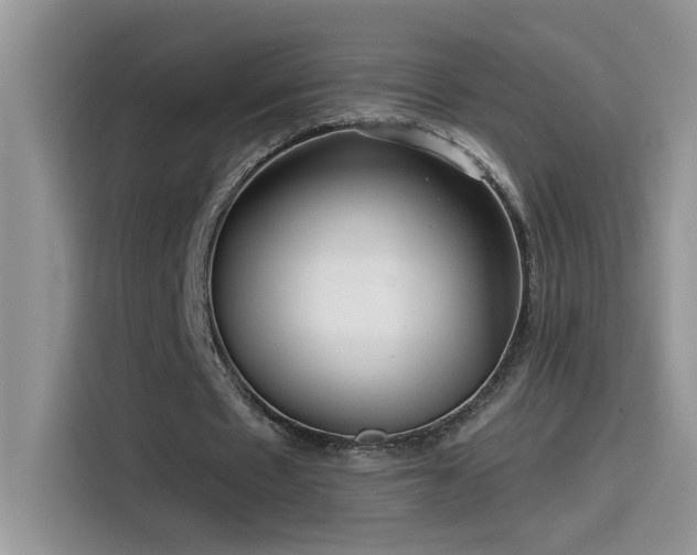 X0000115530481200911131508