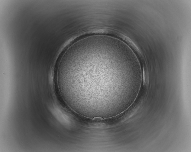 X0000115530483200911131508