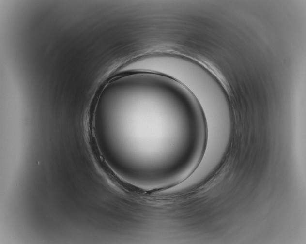 X0000115530485200911131508