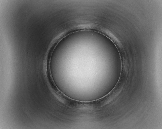 X0000115530486200911131508