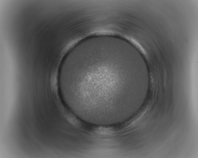 X0000115530487200911131508