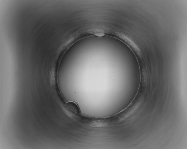 X0000115530489200911131508