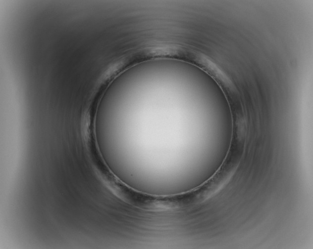 X0000115530490200911131508