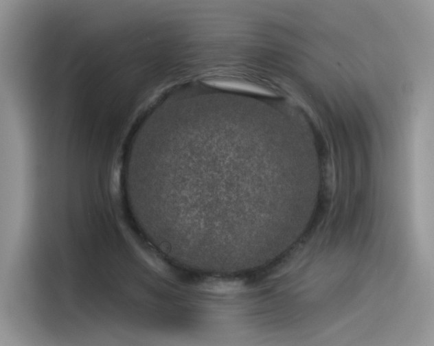 X0000115530491200911131508